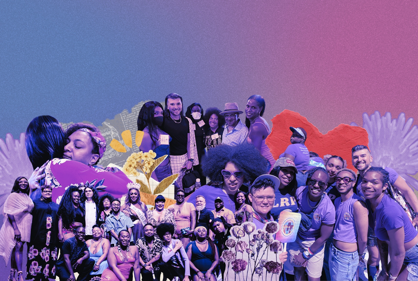 Lavender Rights Project Community